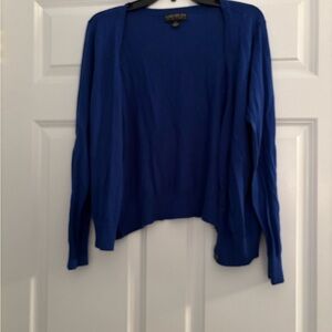 Blue Women's Sweater